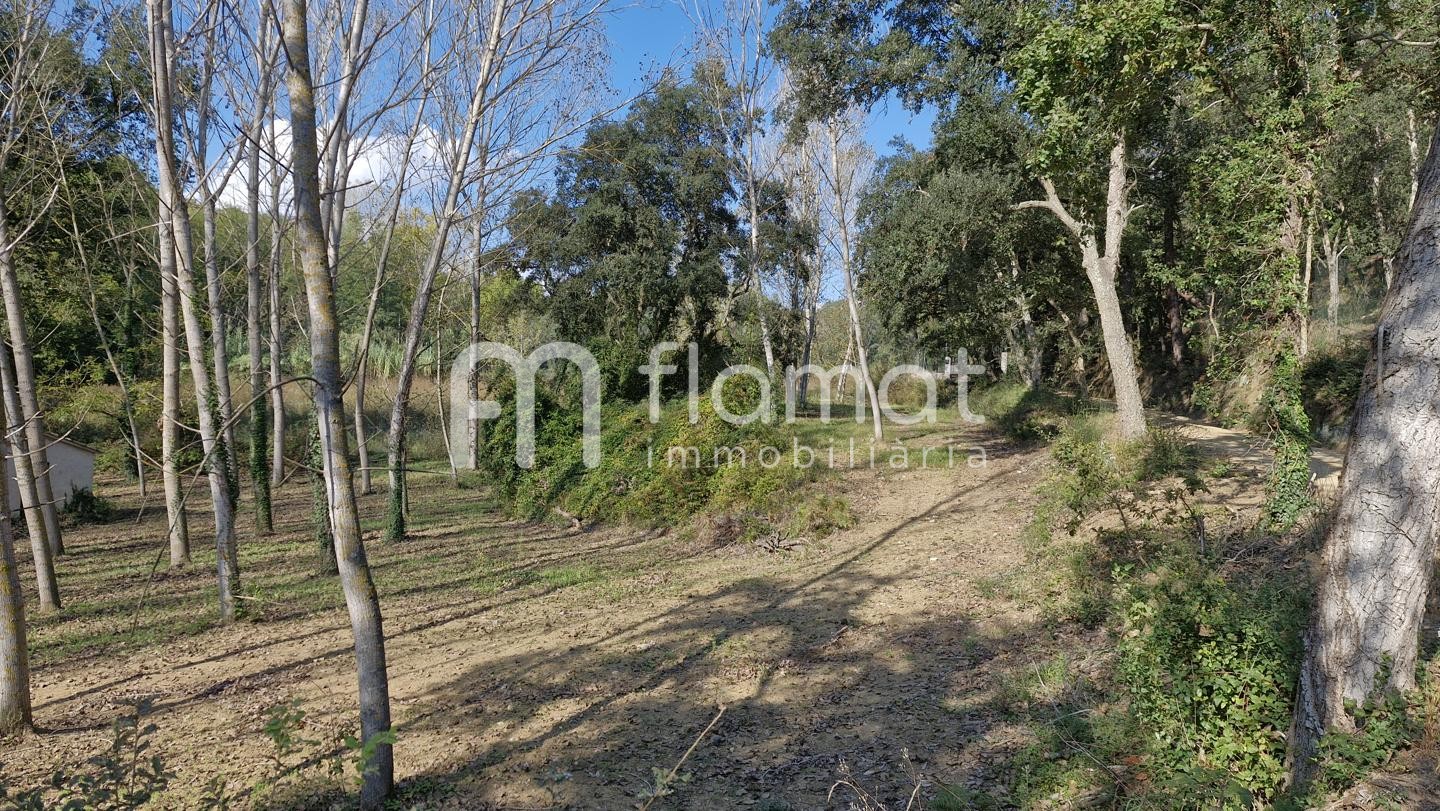 casa--chalet en sant-feliu-de-buixalleu · cami-de-santa-barbara-1-17451 810000€