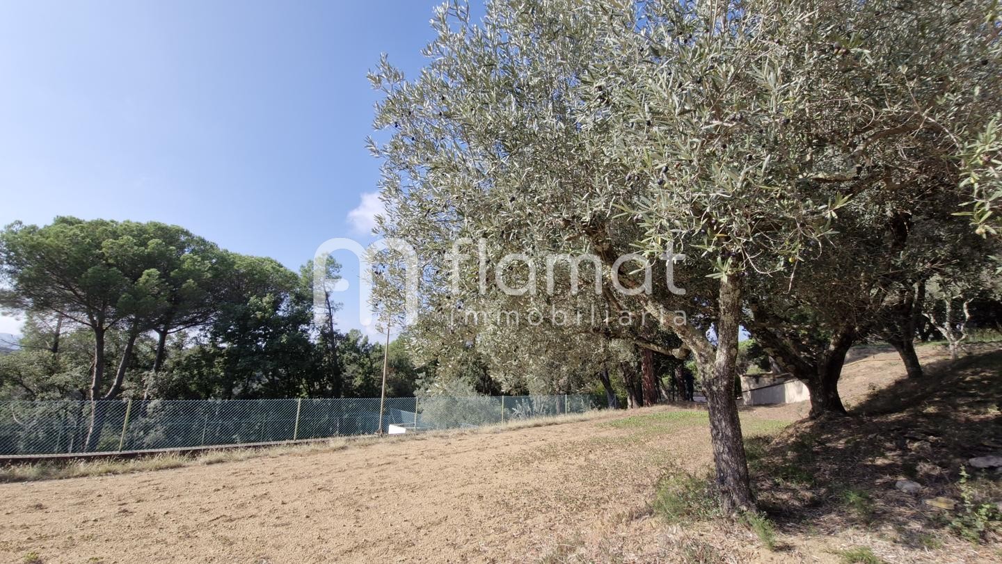 casa--chalet en sant-feliu-de-buixalleu · cami-de-santa-barbara-1-17451 810000€
