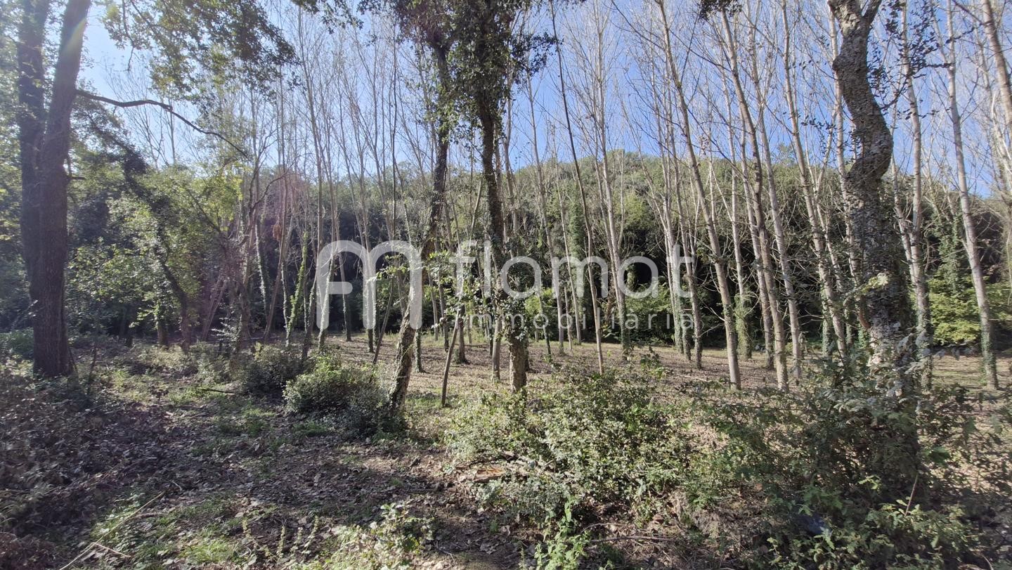 casa--chalet en sant-feliu-de-buixalleu · cami-de-santa-barbara-1-17451 810000€
