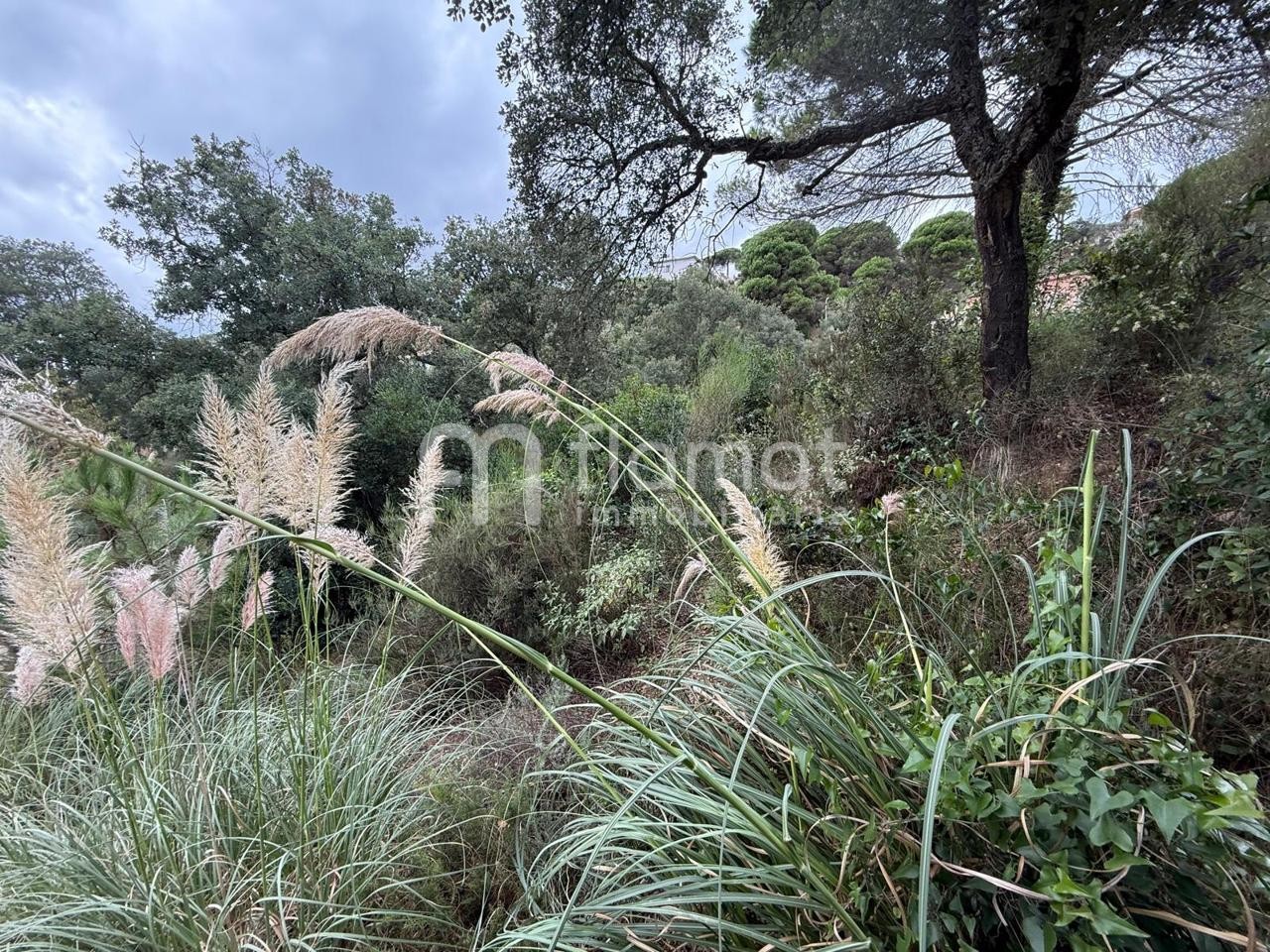 terrenos en lloret-de-mar · 17310-lloret-de-mar 39900€