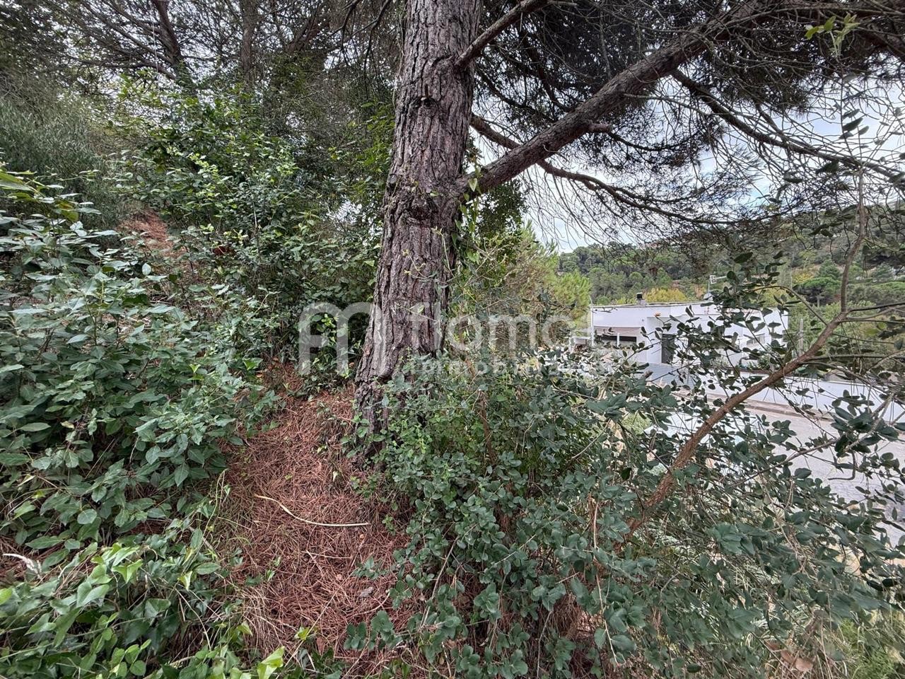 terrenos en lloret-de-mar · 17310-lloret-de-mar 39900€