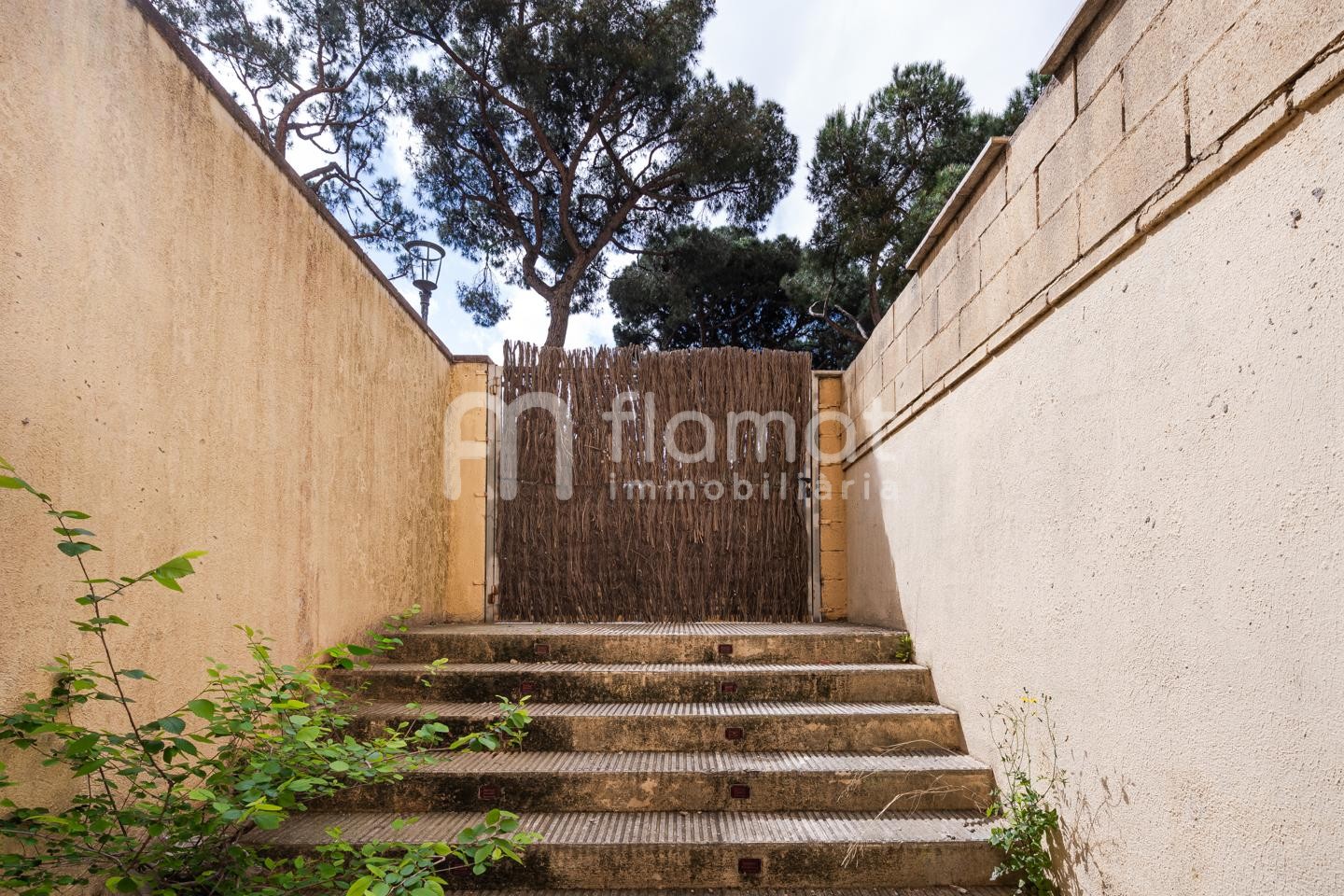 locales-comerciales en blanes · pins 195000€