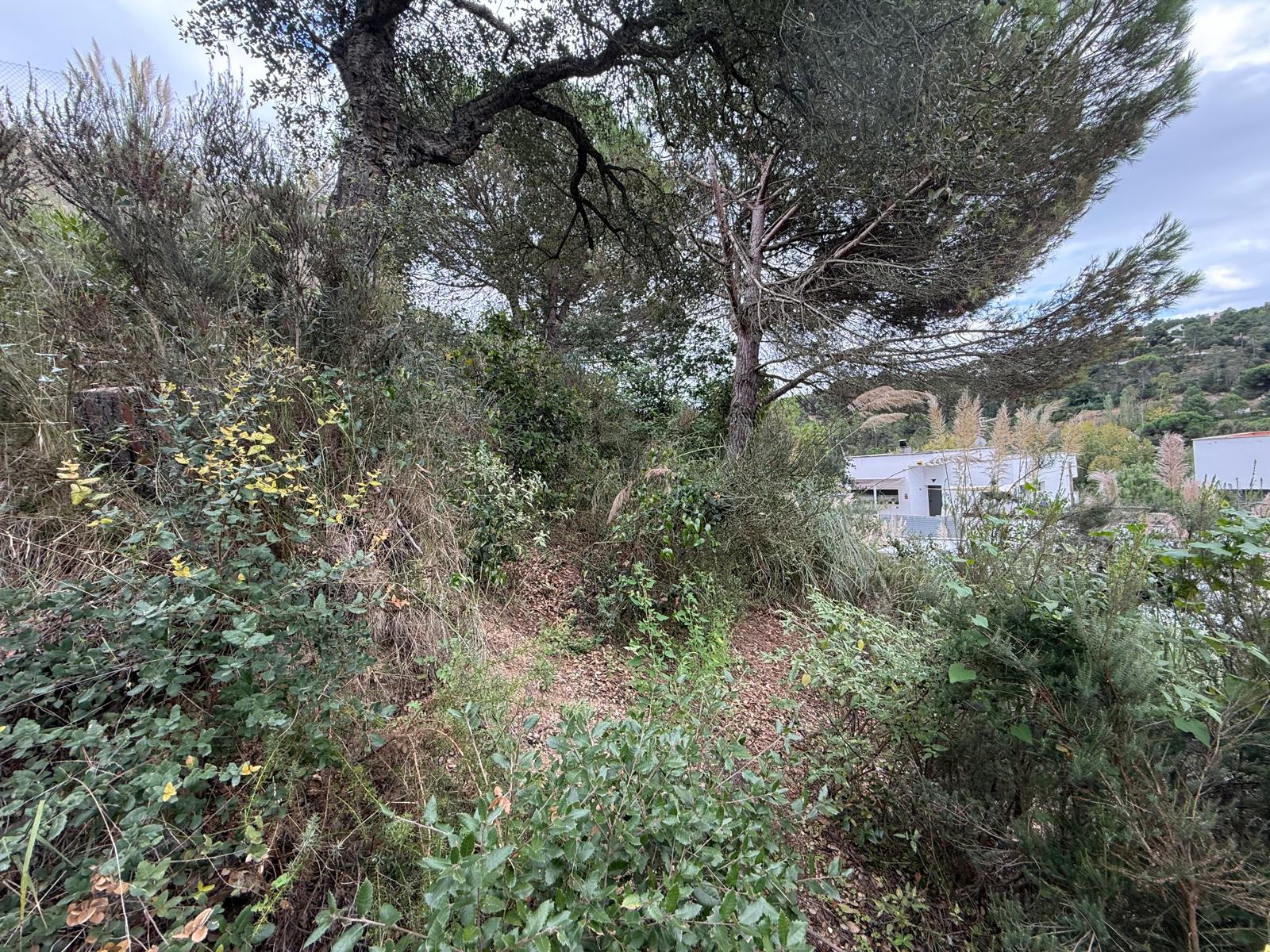 terrenos en lloret-de-mar · lloret-de-mar-girona 39900€