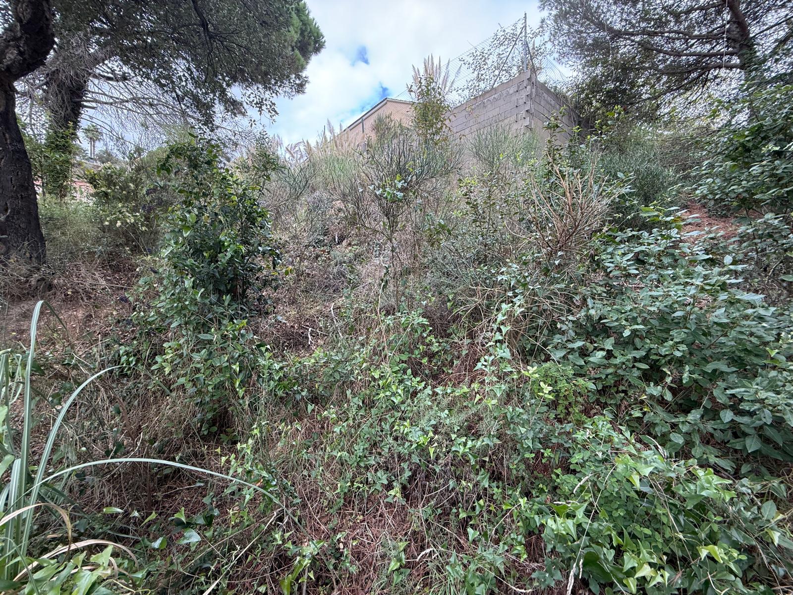 terrenos en lloret-de-mar · lloret-de-mar-girona 39900€