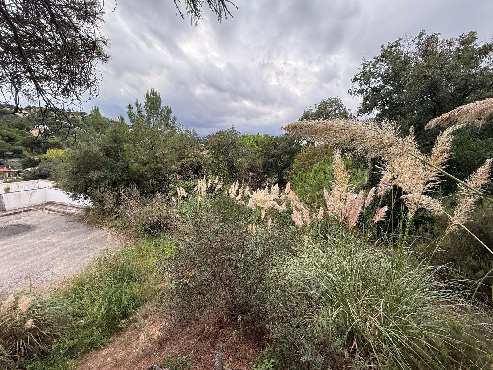 terrenos en lloret-de-mar · lloret-de-mar-girona 39900€