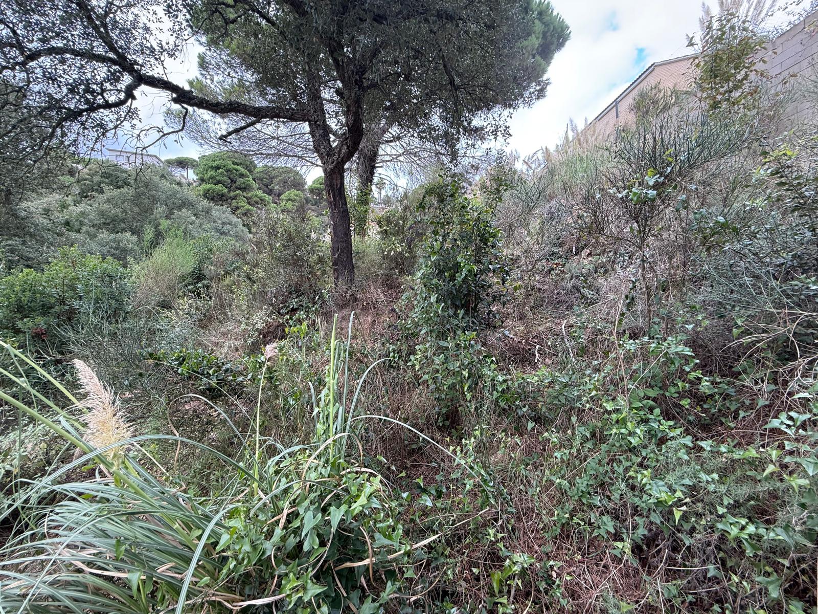 terrenos en lloret-de-mar · lloret-de-mar-girona 39900€