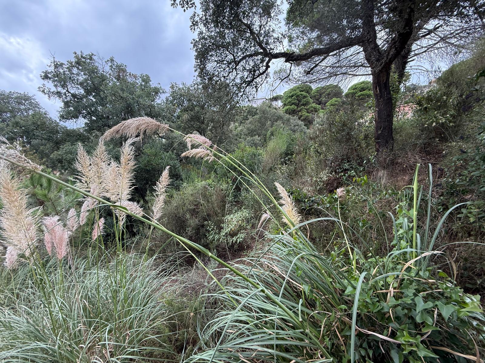 terrenos en lloret-de-mar · lloret-de-mar-girona 39900€